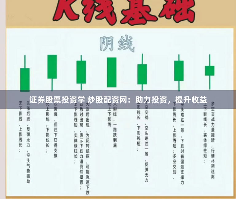 证券股票投资学 炒股配资网：助力投资，提升收益