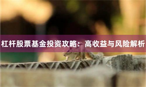 杠杆股票基金投资攻略：高收益与风险解析