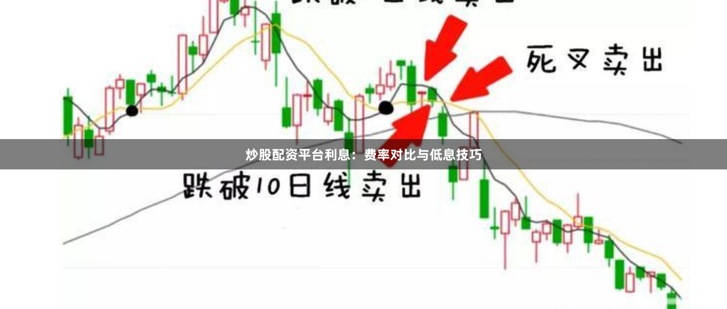 炒股配资平台利息：费率对比与低息技巧